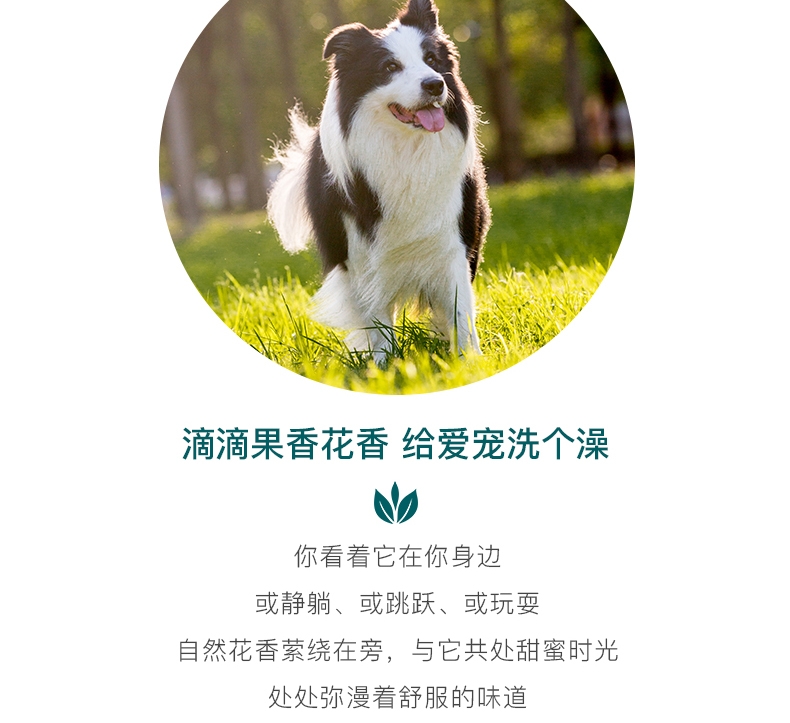 怡亲 敏感型皮肤犬猫适用香波 500ml