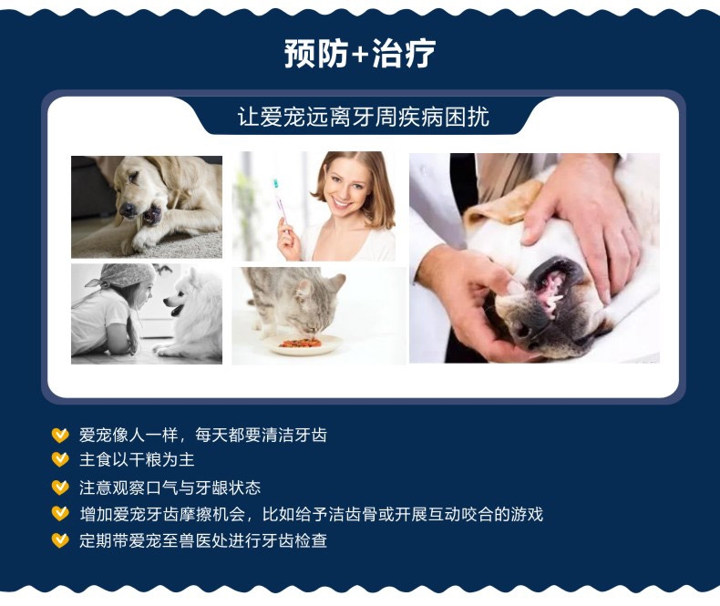 Proden博乐丹 猫狗通用牙洁粉40g 瑞典进口去牙结石口臭清洁牙齿