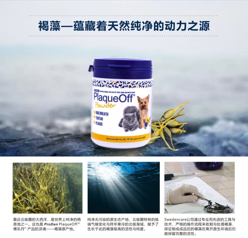 Proden博乐丹 猫狗通用牙洁粉40g 瑞典进口去牙结石口臭清洁牙齿