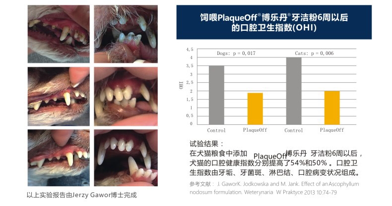 Proden博乐丹 猫狗通用牙洁粉40g 瑞典进口去牙结石口臭清洁牙齿