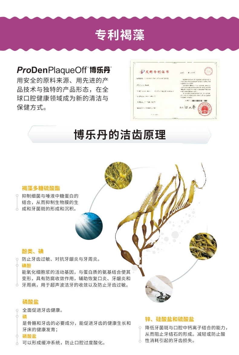 博乐丹Proden 猫用去牙石除口臭牙洁粉 40g 瑞典进口