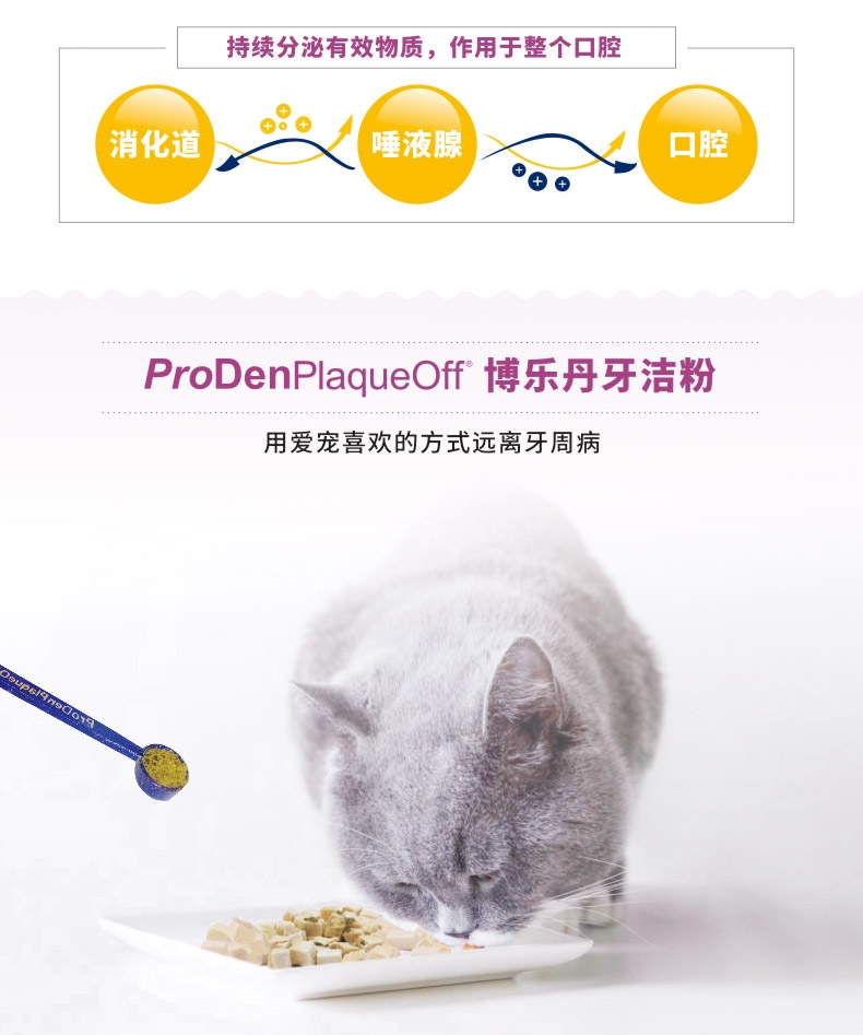 博乐丹Proden 猫用去牙石除口臭牙洁粉 40g 瑞典进口