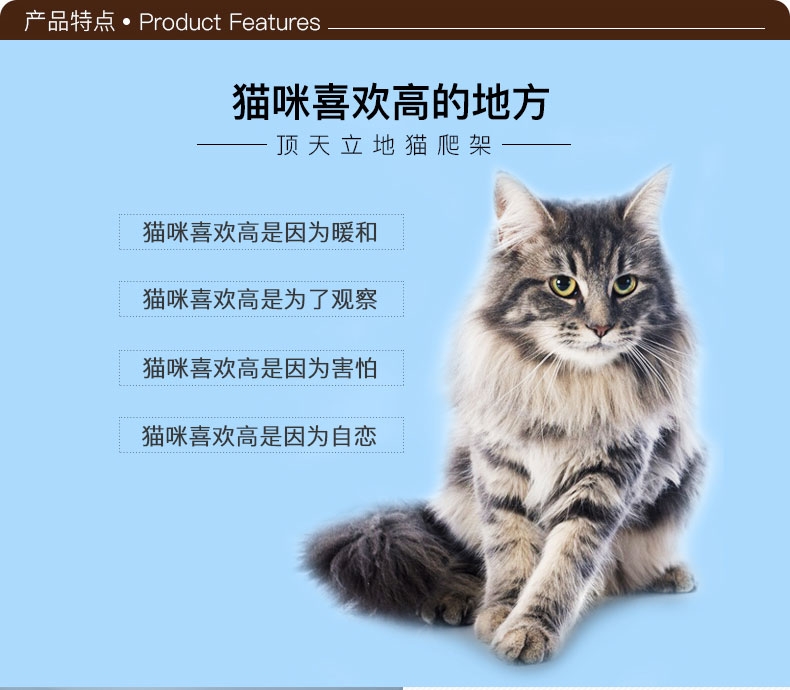 伊丽Elite 柔软地毯布顶天立地猫爬架 2色可选