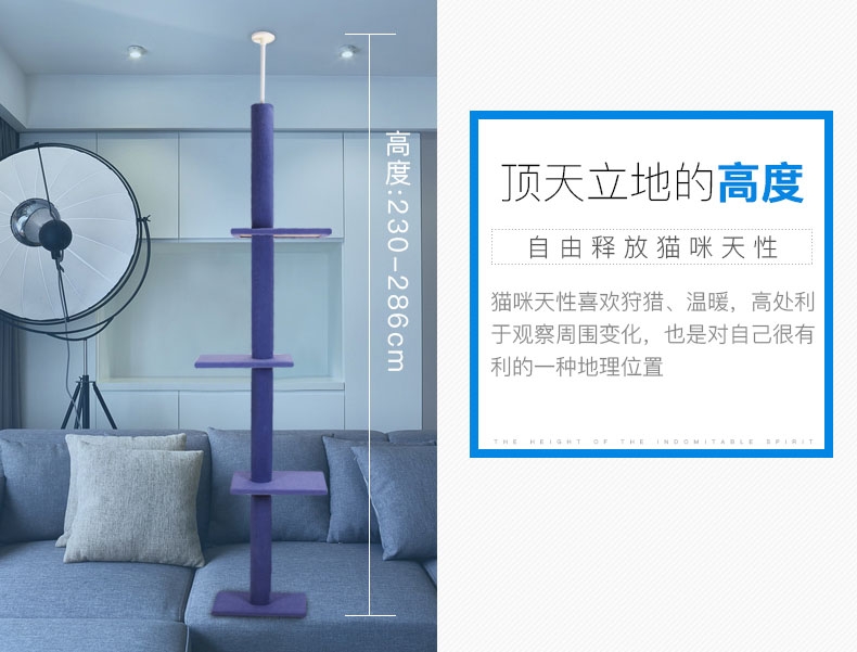 伊丽Elite 柔软地毯布顶天立地猫爬架 2色可选