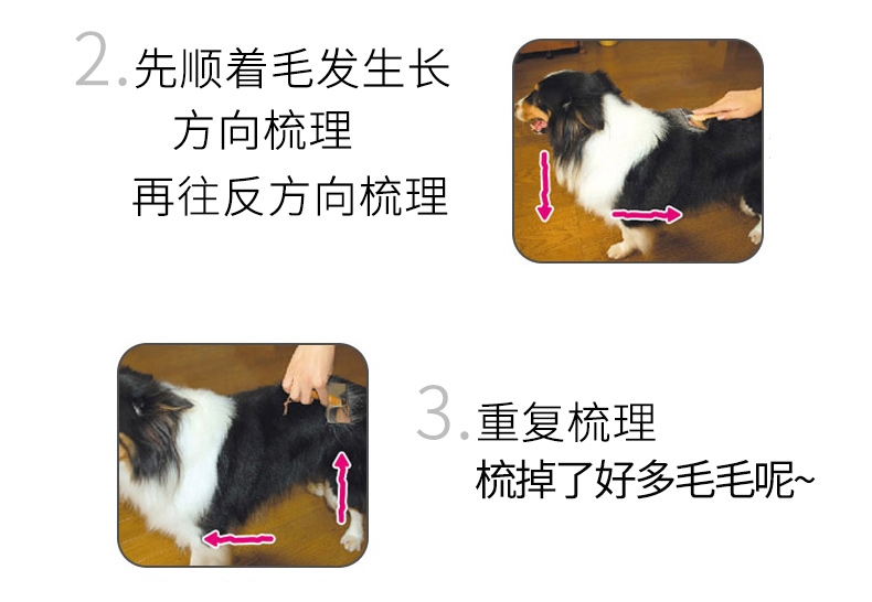 日本艾宠Lion 去毛喷剂温和香皂香型 犬猫通用 200ml 去毛除臭无刺激
