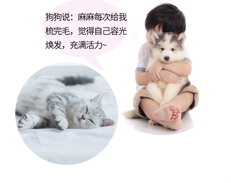 日本艾宠Lion 去毛喷剂温和香皂香型 犬猫通用 200ml 去毛除臭无刺激