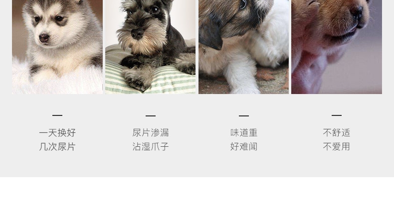怡亲 猫狗通用竹炭尿片 强吸水吸臭