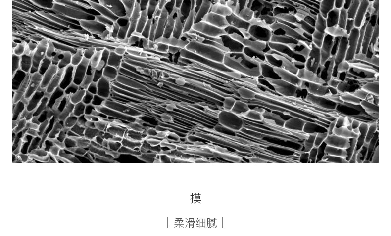 怡亲 猫狗通用竹炭尿片 强吸水吸臭