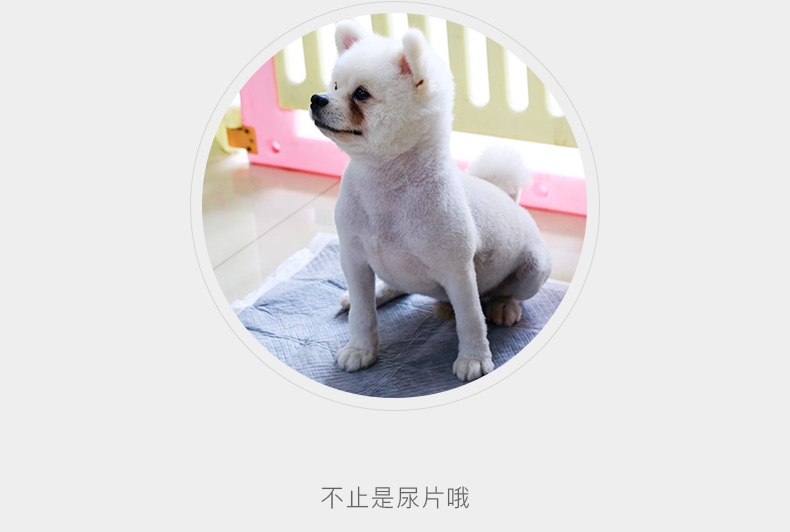 怡亲 猫狗通用竹炭尿片 强吸水吸臭