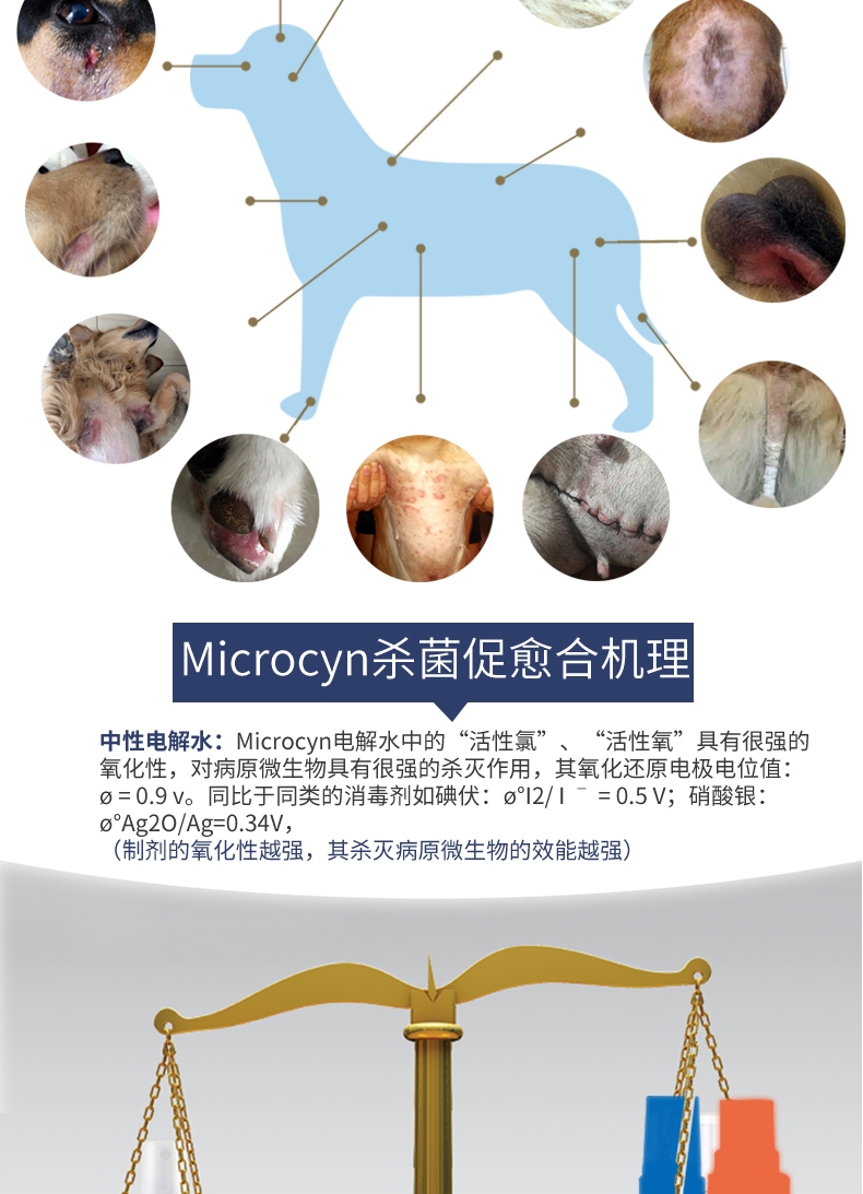 麦高臣 宠物犬猫通用神仙水 100ml 伤口及皮肤护理 美国进口 杀灭人类冠状病毒
