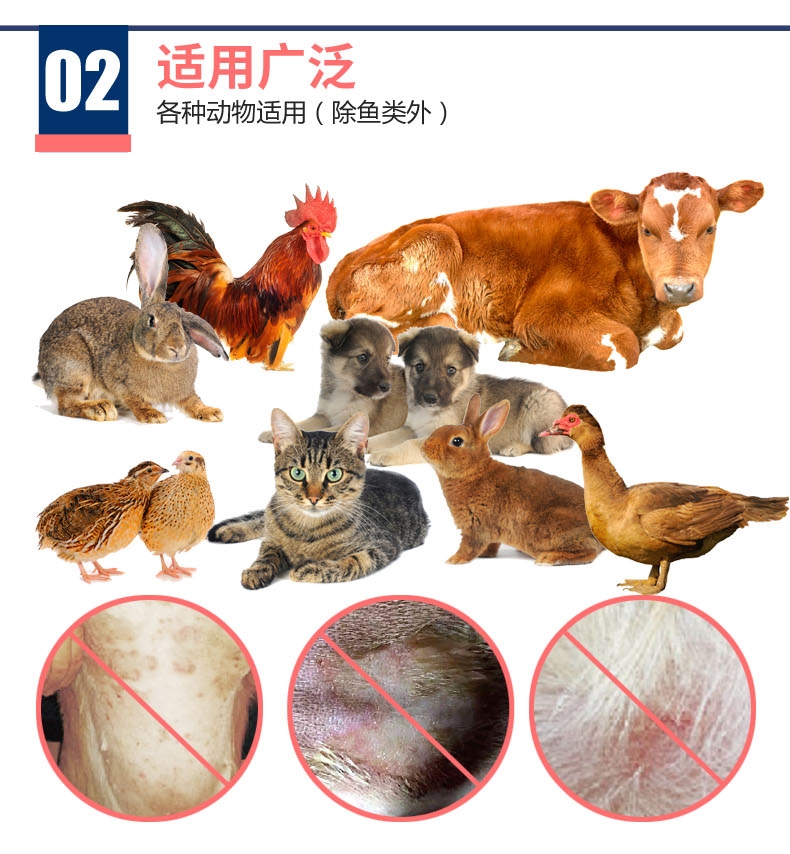 麦高臣 宠物犬猫通用神仙水 500ml 伤口及皮肤护理 美国进口 杀灭人类冠状病毒