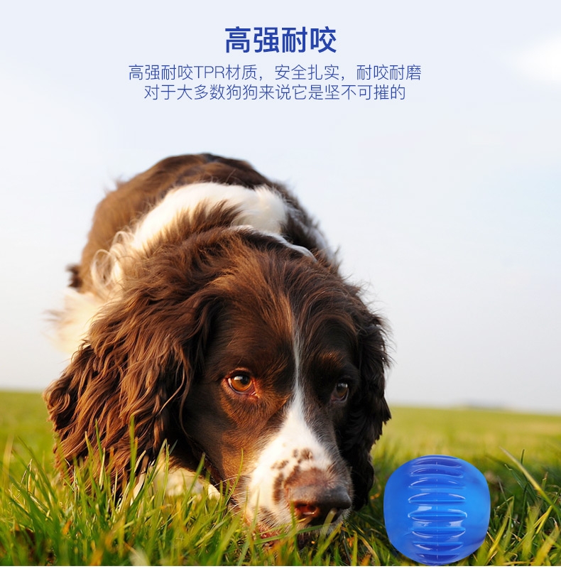 酷极Kyjen 玲珑球狗狗玩具