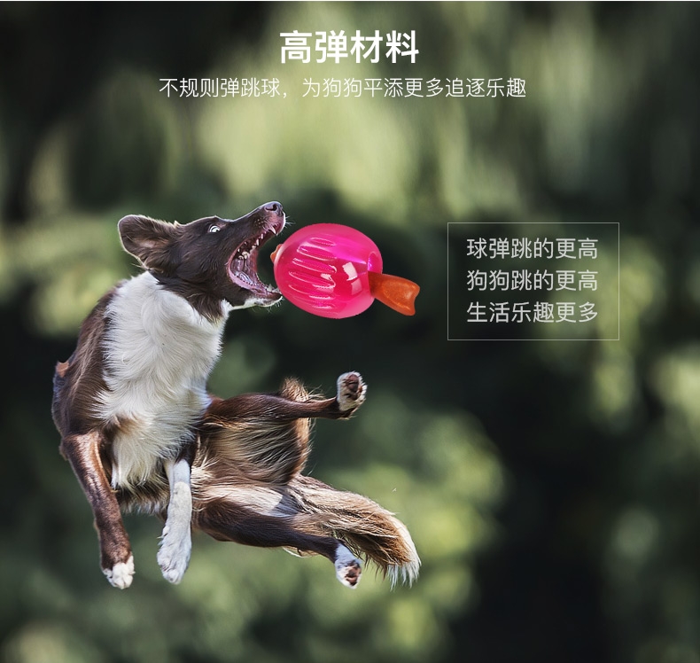 酷极Kyjen 玲珑球狗狗玩具