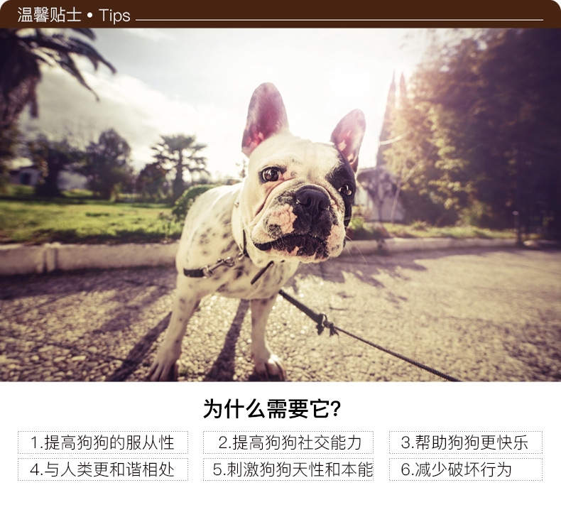 酷极Kyjen 玲珑球狗狗玩具