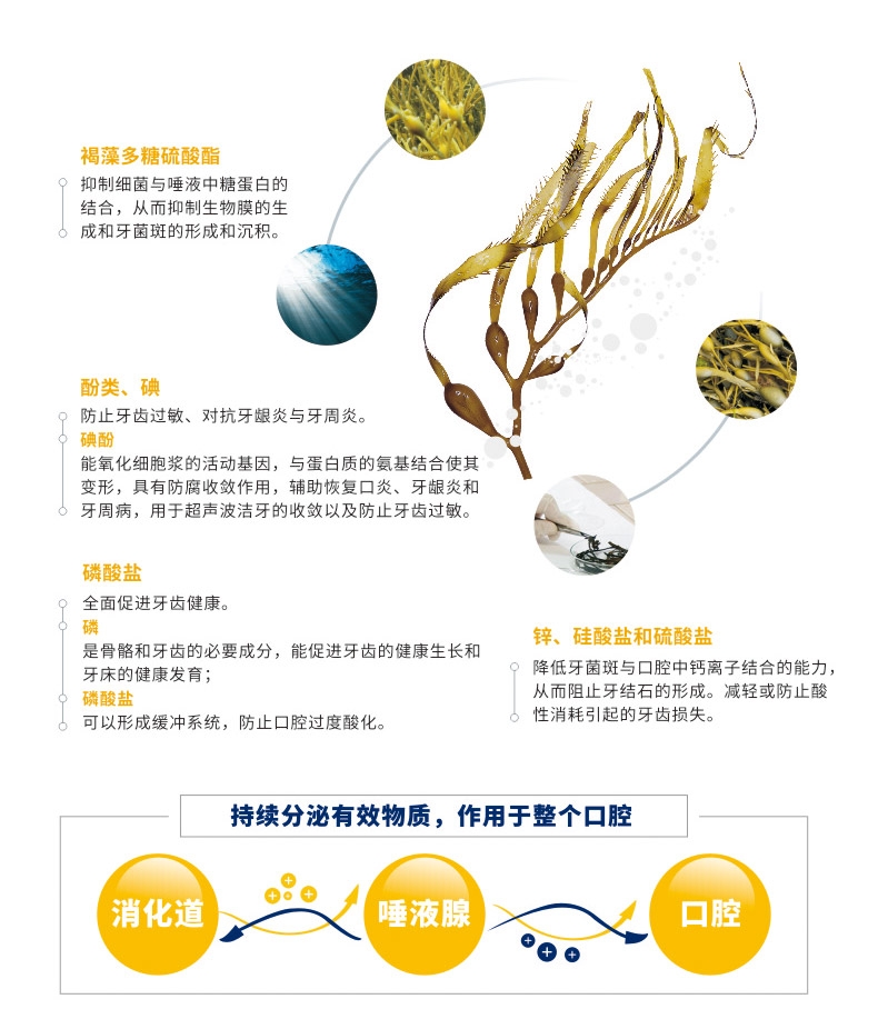 博乐丹Proden 猫狗通用牙洁粉改善口腔清洁 20g