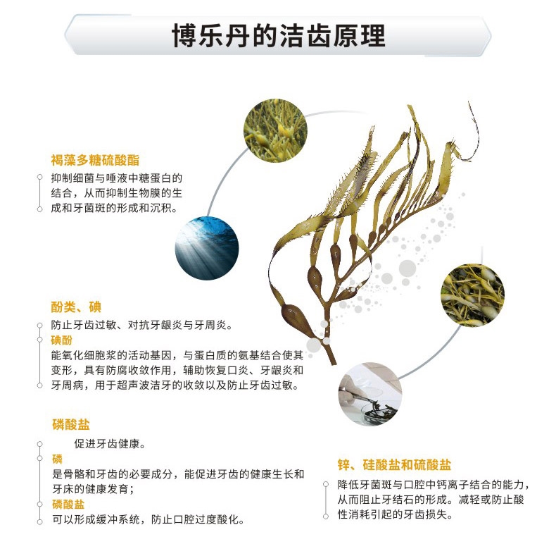 博乐丹Proden 猫狗通用牙洁粉改善口腔清洁 20g