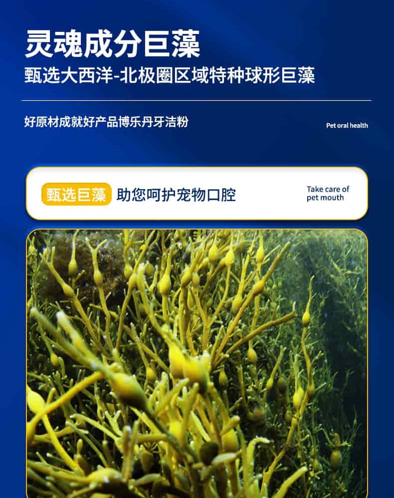 博乐丹Proden 猫狗通用牙洁粉改善口腔清洁 20g