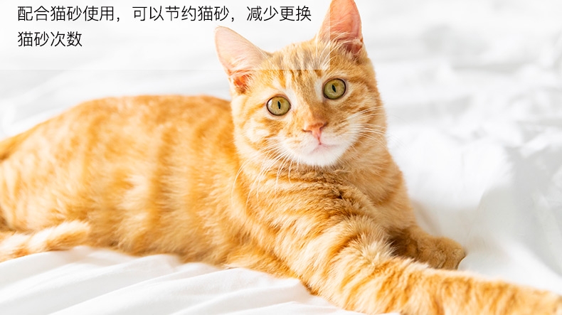 特瑞仕 猫砂除臭粉 200g 猫砂伴侣