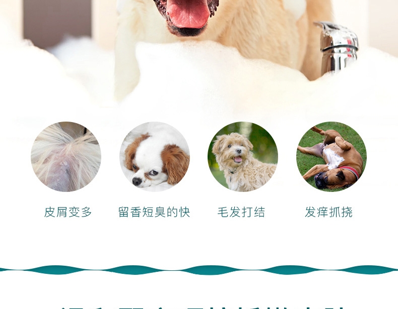 怡亲 犬用超白香波470ml