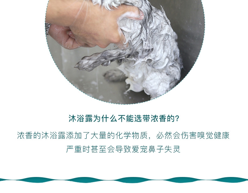怡亲 犬用超白香波470ml