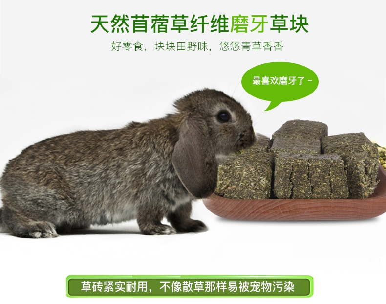 洁西 兔兔龙猫豚鼠磨牙草砖苜蓿磨牙草块小宠磨牙500克