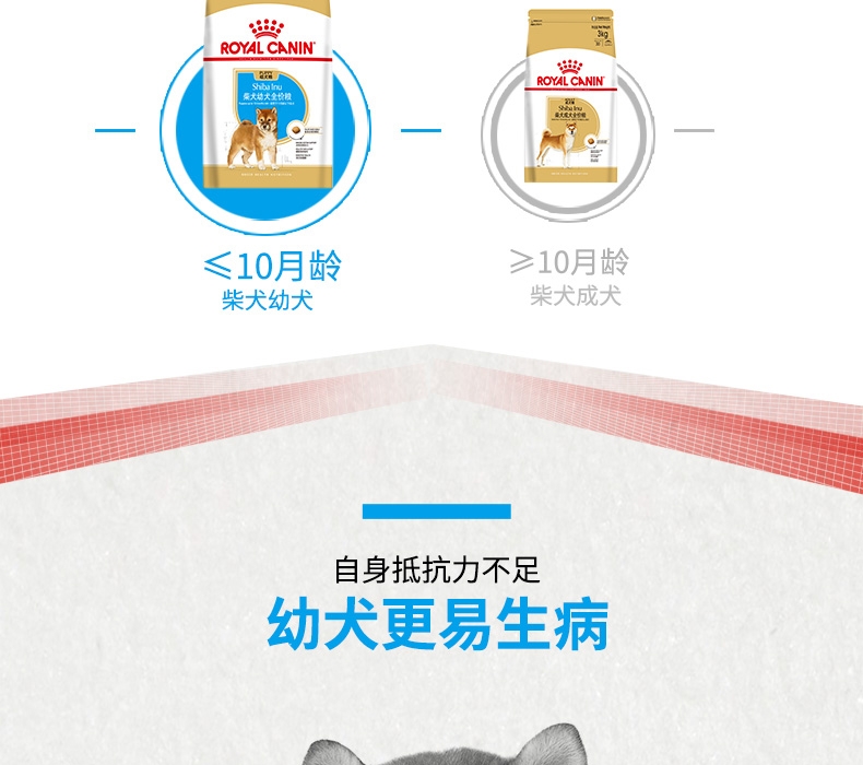 法国皇家ROYAL CANIN 柴犬幼犬粮 3kg