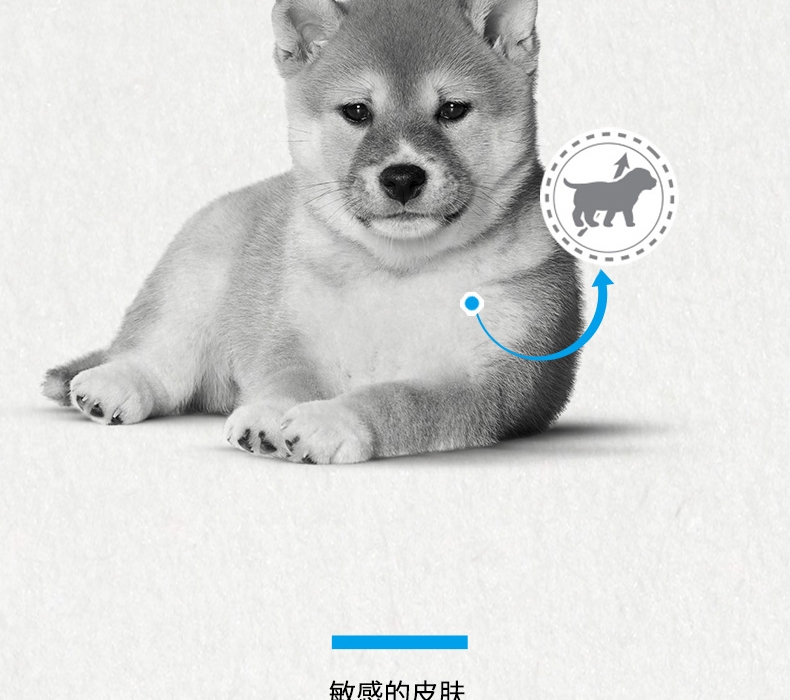 法国皇家ROYAL CANIN 柴犬幼犬粮 3kg