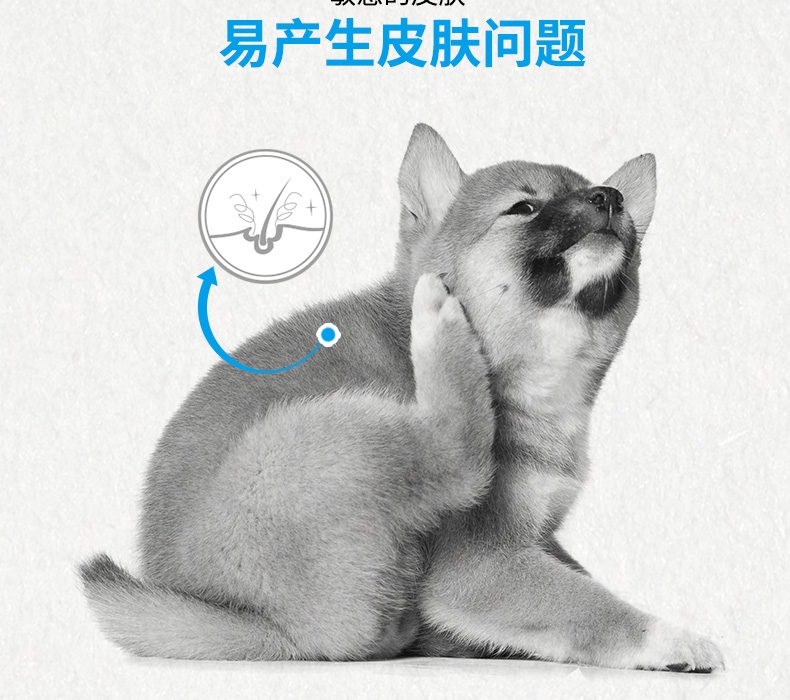 法国皇家ROYAL CANIN 柴犬幼犬粮 3kg
