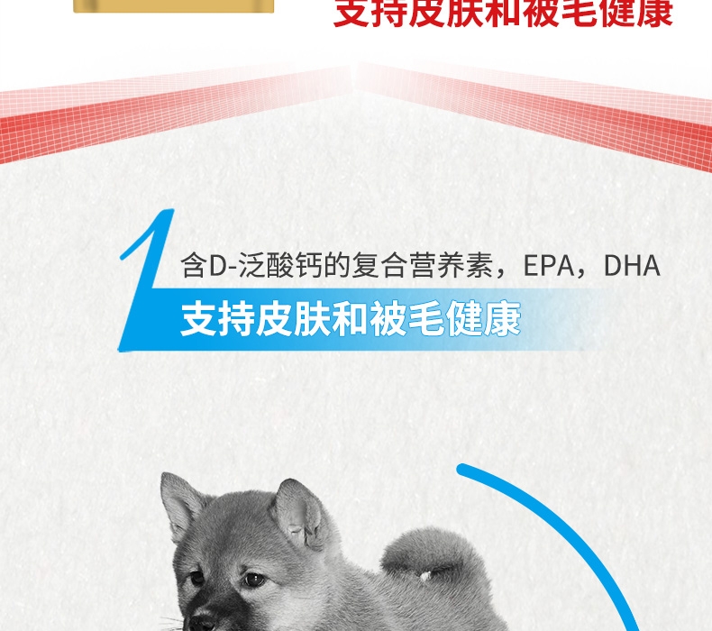 法国皇家ROYAL CANIN 柴犬幼犬粮 3kg