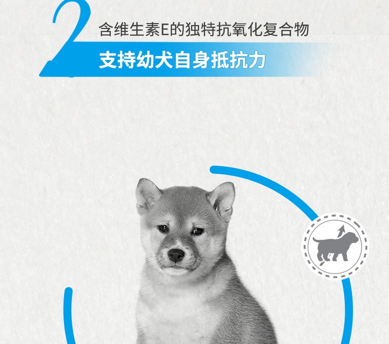 法国皇家ROYAL CANIN 柴犬幼犬粮 3kg