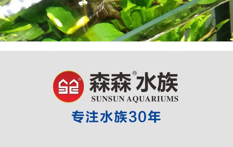 森森水质安定剂258ml