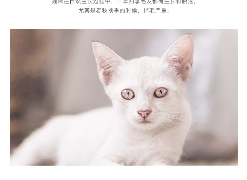 多格漫 爱猫理毛弯角梳