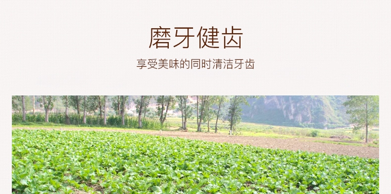 卫塔卡夫Vitakraft 软鸭胸条肉训练奖励狗零食 80g