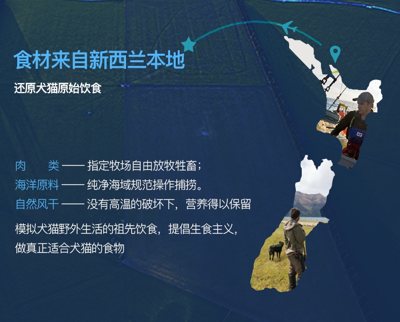 巅峰ZiwiPeak 羊肉配方全犬粮 1kg