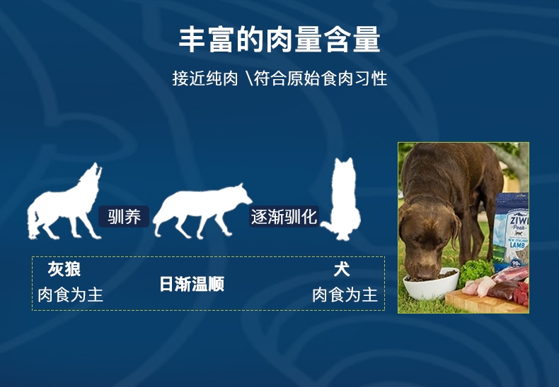 巅峰ZiwiPeak 羊肉配方全犬粮 1kg