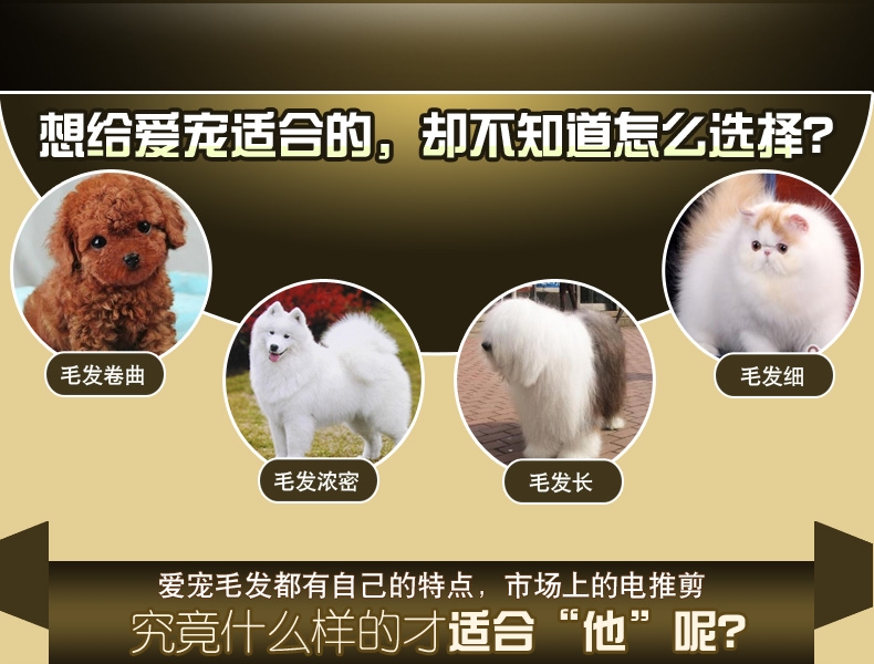 宝润 咖啡色宠物电推剪 P6 不卡毛不吵耳充插两用多档微调