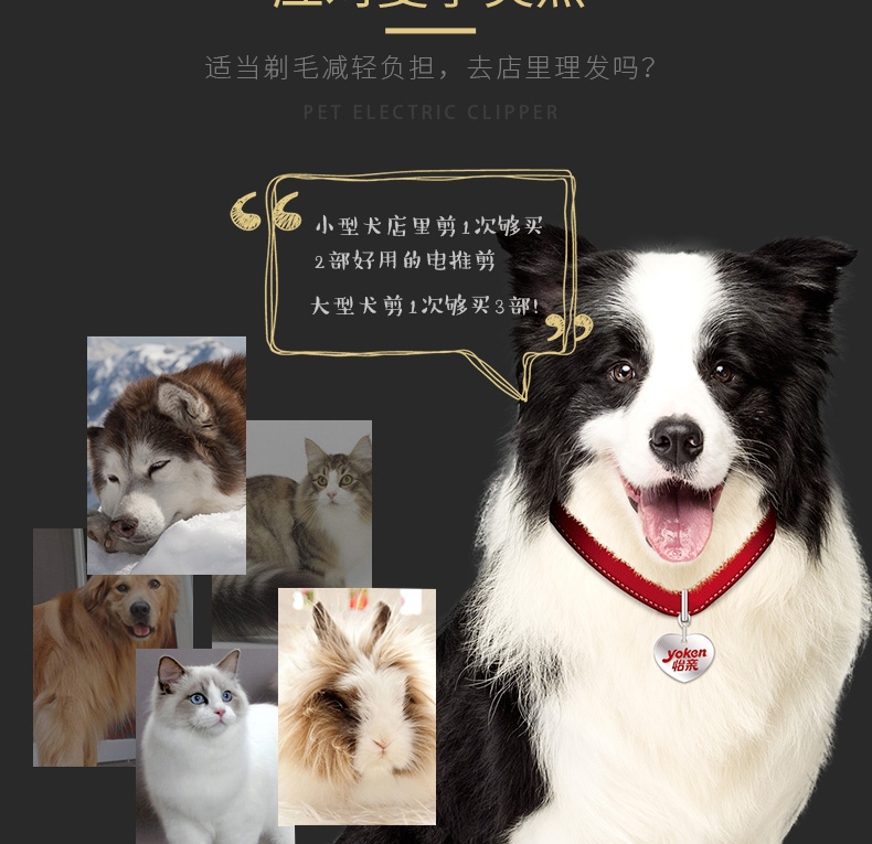 宝润 狗狗电推剪泰迪比熊金毛P2(升级款928)不发热不卡毛 随机发货