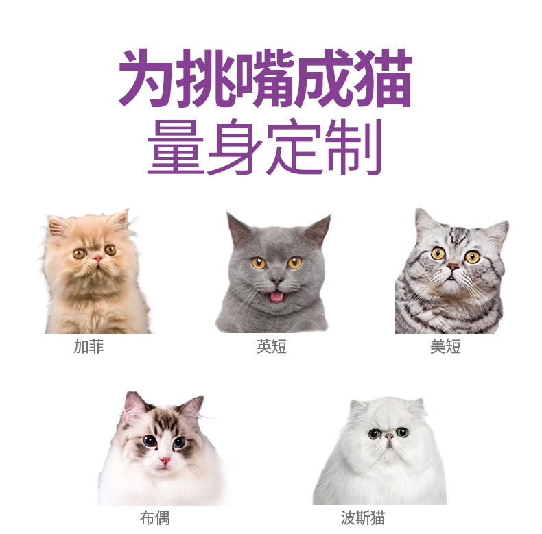 优基UG 活力益生挑嘴全价成猫粮 2kg