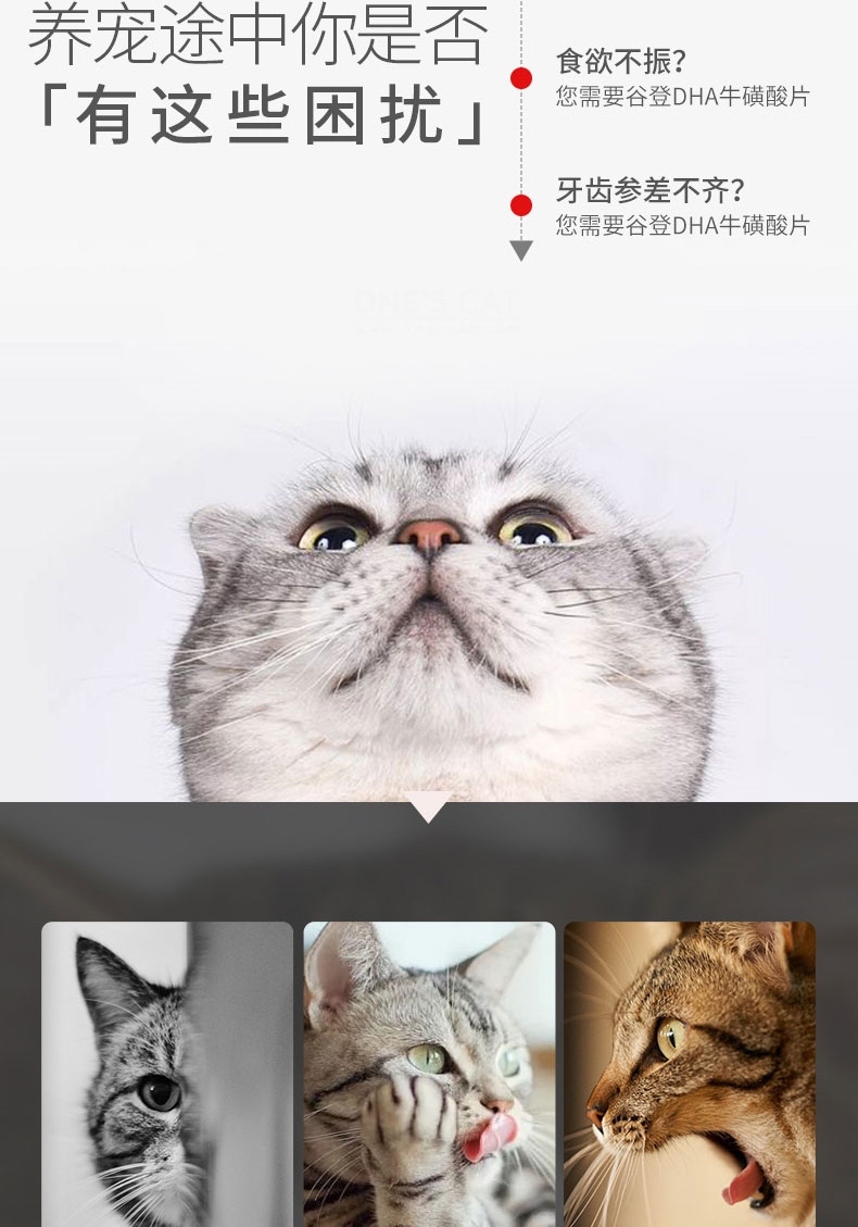 谷登 DHA牛磺酸片 200片 猫用明亮眼睛 改善皮毛