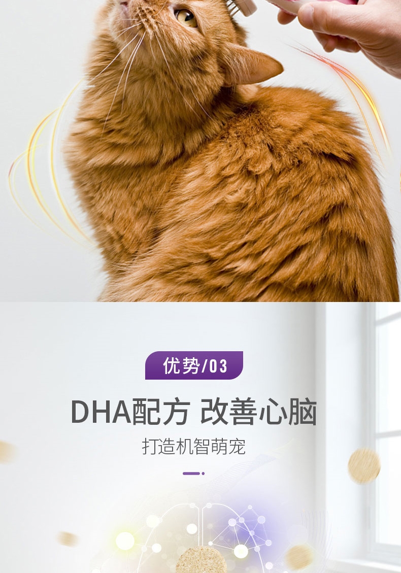 谷登 DHA牛磺酸片 200片 猫用明亮眼睛 改善皮毛