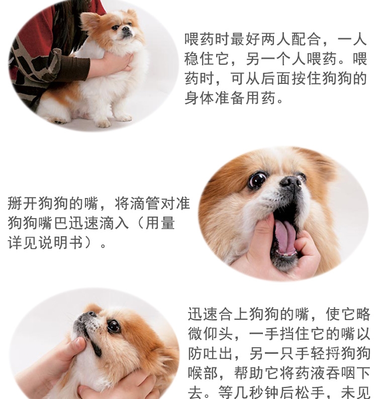新宠之康 猫狗消咳喘口服液25ml 清肺化痰,止咳平喘