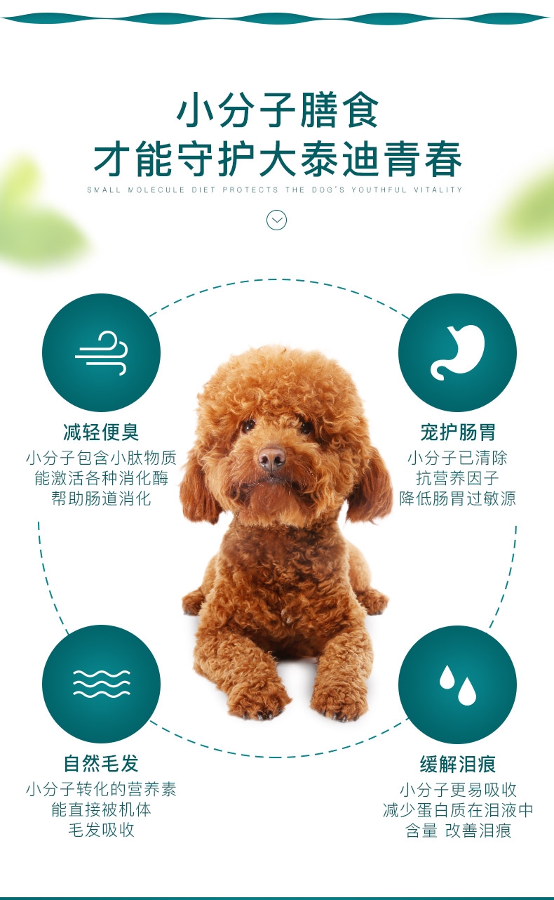 怡亲yoken 泰迪成犬粮专用狗粮2.5kg