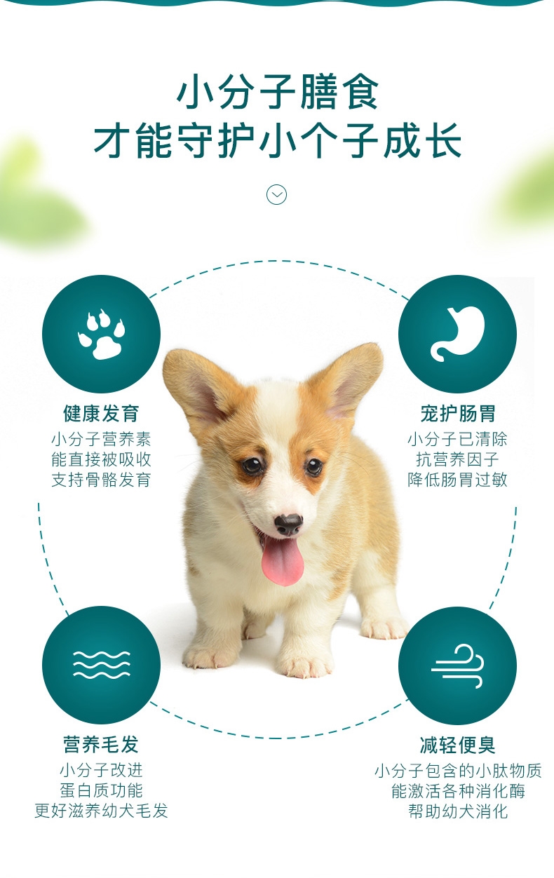 怡亲yoken 小型犬幼犬粮 2.5kg