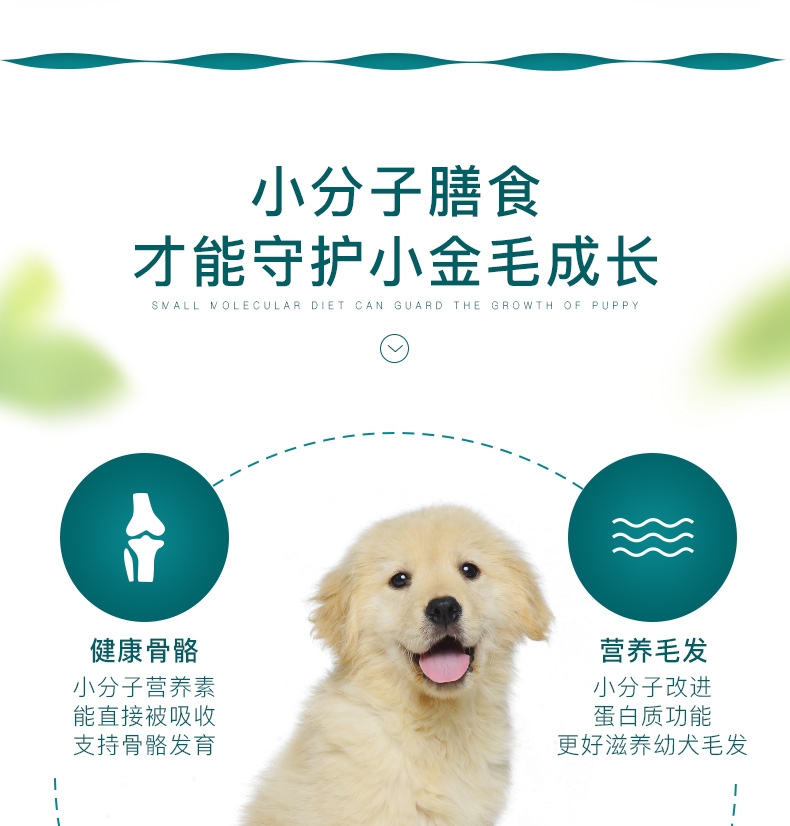 怡亲yoken 金毛幼犬粮专用狗粮2.5kg