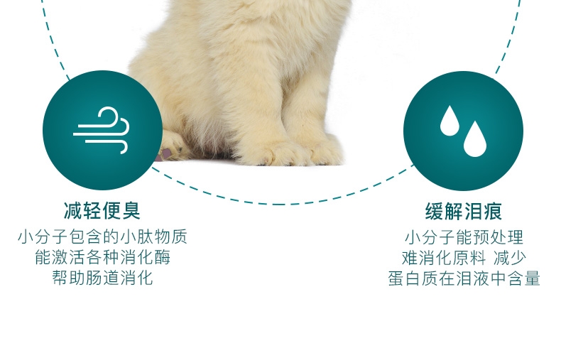 怡亲yoken 金毛幼犬粮专用狗粮2.5kg