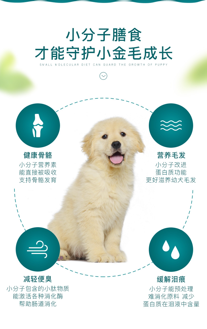 怡亲yoken 金毛幼犬粮专用狗粮7.5kg