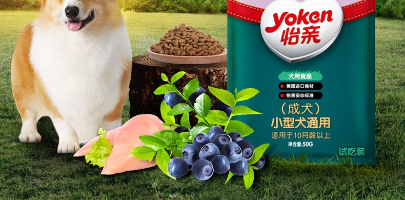怡亲Yoken 小型成犬试吃装 50G