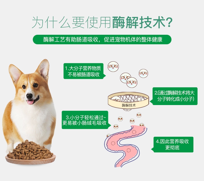 怡亲Yoken 小型成犬试吃装 50G