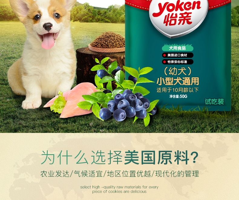 怡亲Yoken 小型幼犬试吃装 50G