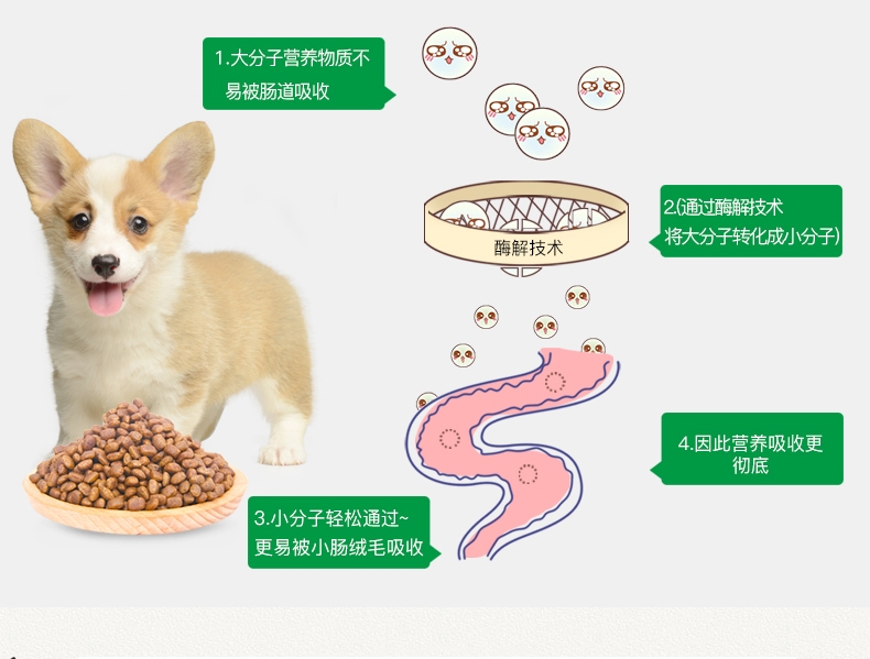 怡亲Yoken 小型幼犬试吃装 50G